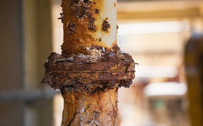 Plumbing Pipe Corrosion Basics and Prevention